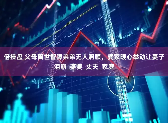 倍操盘 父母离世智障弟弟无人照顾，婆家暖心举动让妻子泪崩_婆婆_丈夫_家庭