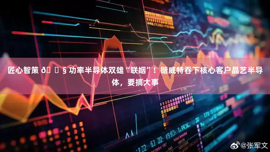 匠心智策 🔧 功率半导体双雄“联姻”！锴威特吞下核心客户晶艺半导体，要搞大事